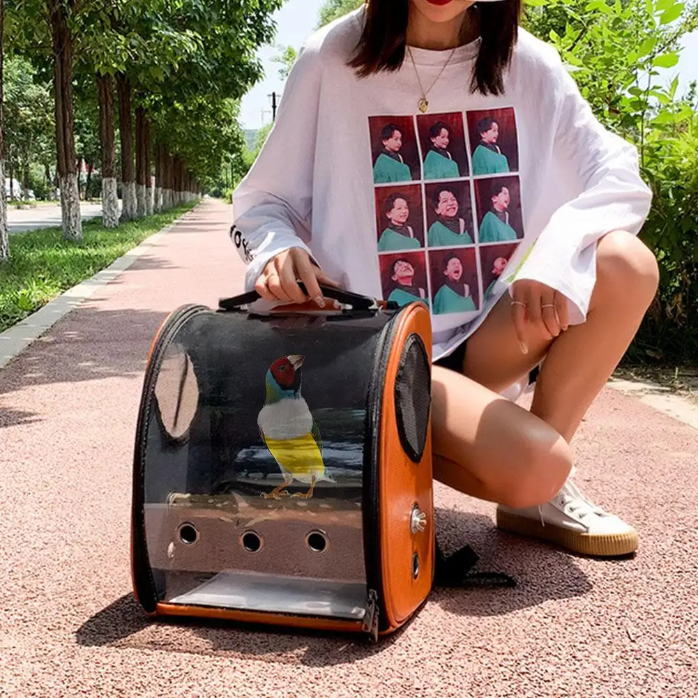 Прозрачный рюкзак с изображением попугая и птицы для домашних животных двойная