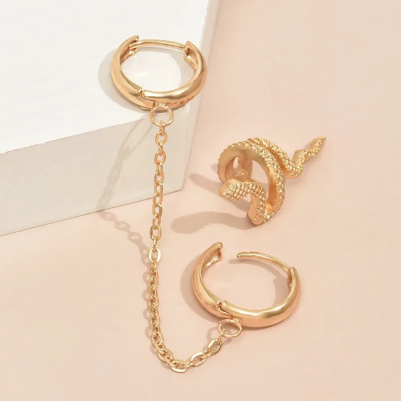 

Korean Fashion Snake Shape Exaggerated Alloy Earrings for Women Statement Ear Jewelry Gifts