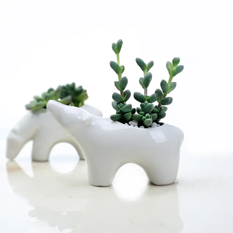 Белый фарфоровый Миниатюрный белый медвежонок суккулент горшок для растений