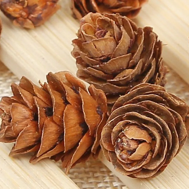 10 шт. мини Pinecone сосновые шишки Pinecone для рождественской елки топперы ваза чаша наполнитель отображает декоративные ремесла домашний декор