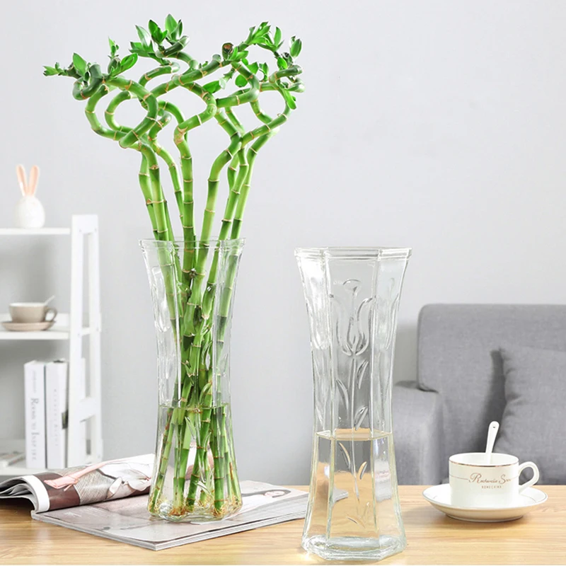 Гидропонное стекло большая Цветочная ваза зеленые растения квадратный