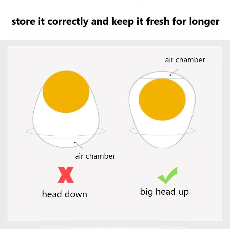 

Tray Kitchen Container Beech Wood Double Row Egg Storage Box Household Refrigerator Egg Rack Accessory Container Storage Tray