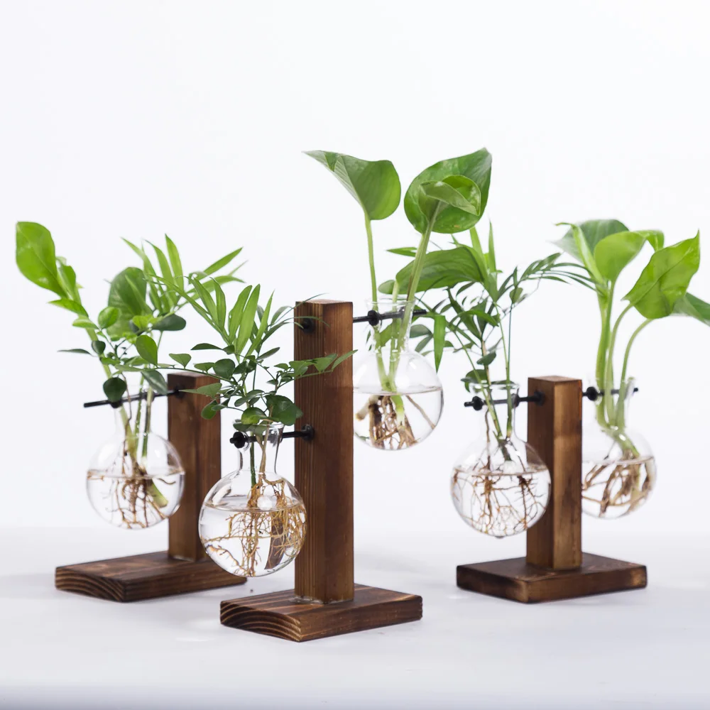 Гидропоники вазы для растений лампы Стекло квадратный цветочный горшок с