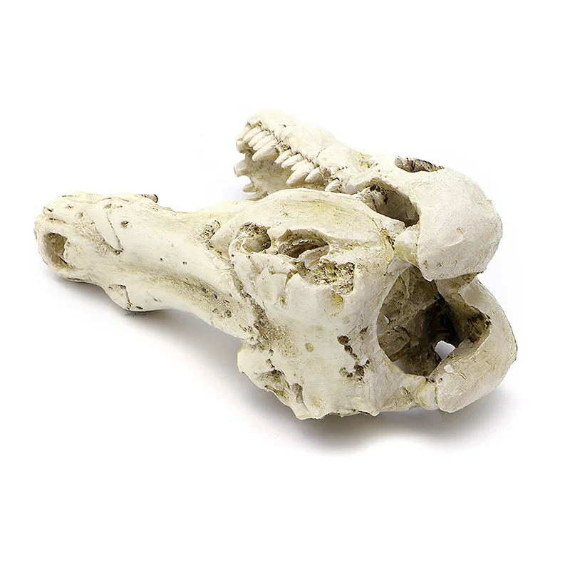 Высокое качество 5 &quotкрокодил череп искусственный Декор украшение для аквариума