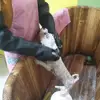 Изображение товара 2