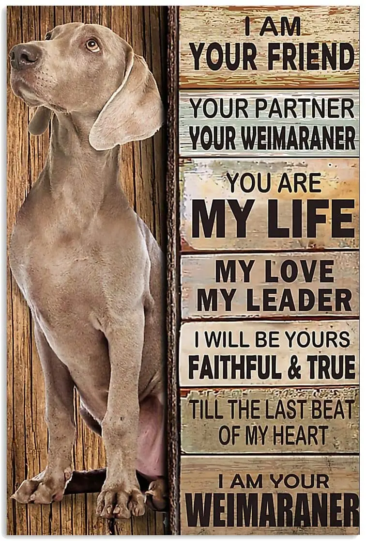 

Metal Sign Gardening Decoration Dachshund Garden Decoration Outdoor Metalplate Industrial Decor Pet Dog Posters on the Wall Home