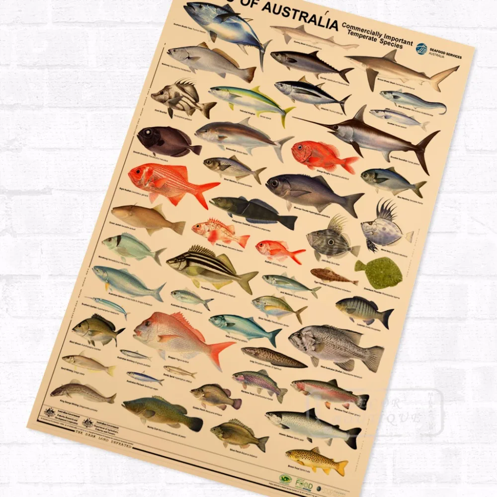 Австралийские рыбы морской организм винтажная ретро с покрытием из крафт-бумаги