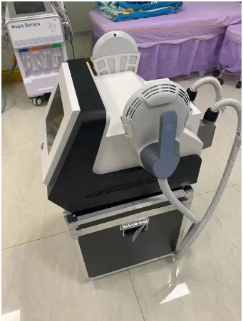 

Factory Price Professional EMS weight loss machine high energy electromagnetic therapy muscle growth machine emslim machine