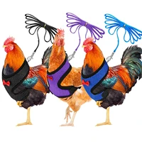 chicken hen size with 6 foot matching belt comfortable breathable medium adjustable chicken harness hen size with 6ft matching