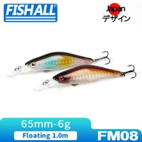 internal holographic minnow wobbler 65mm 6g hard lure floating 1 0m diving bait for bass pike trout fishing