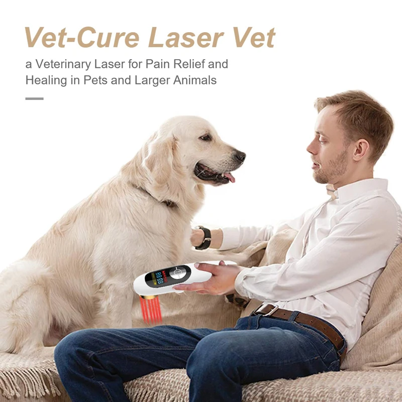 

LASTEK Dog and Horse Cat Animals Pain Relief LLLT Therapy Device By 808nm Safety Cold Laser Machine