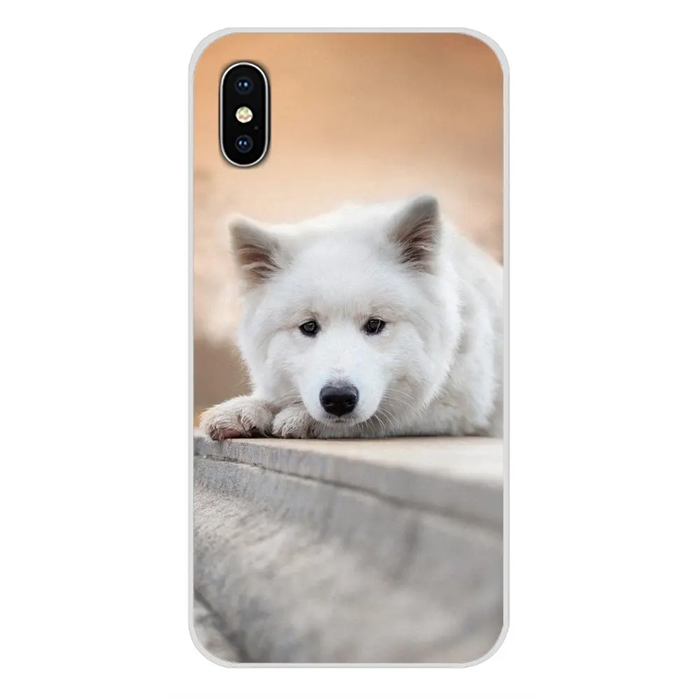 Белый самоед собака прекрасный прозрачный чехол из термополиуретана с Чехлы для