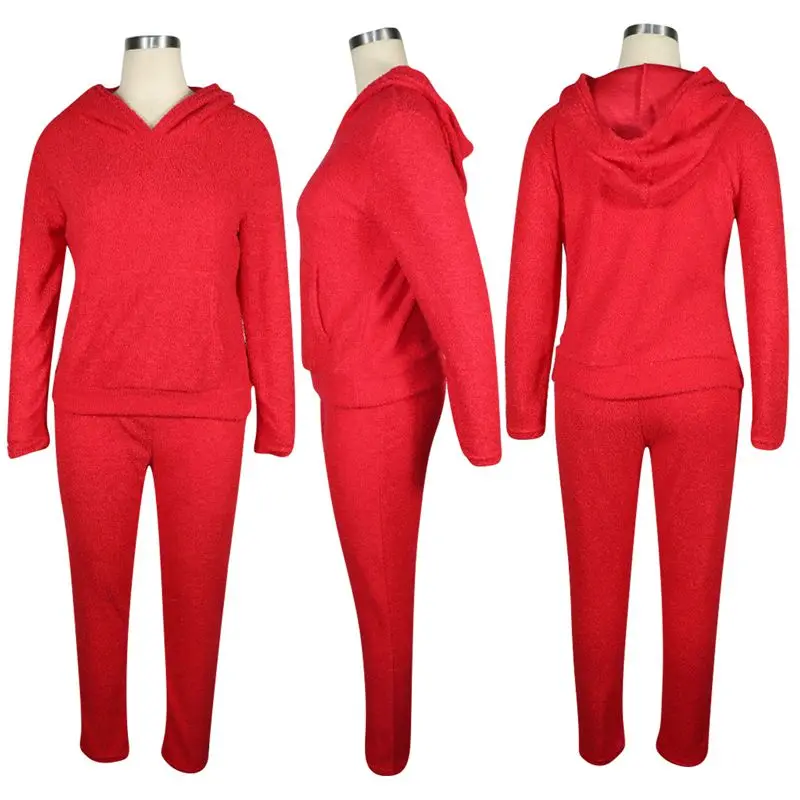 

ZOOEFFBB Velour Two Piece Set Hoodies Long Sleeve Top and Pants Winter Outfits for Women Lounge Wear Clothes Velvet Tracksuit