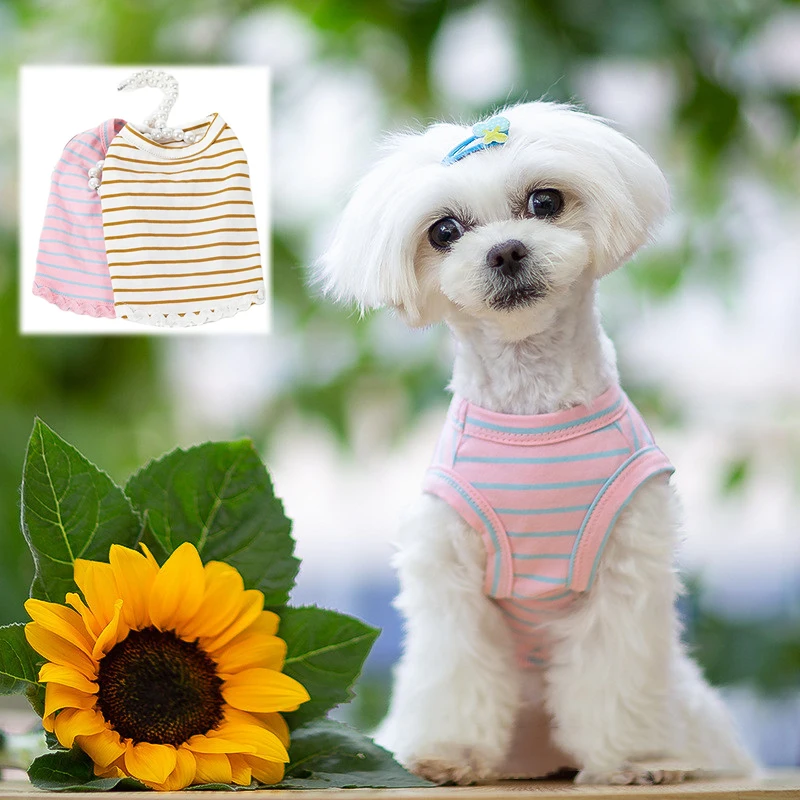 

Хлопковая одежда для собак VestCat, летняя одежда для домашних животных, корги, чихуахуа, померанского пуделя, бишона, фризе, шнауцера, костюмы о...