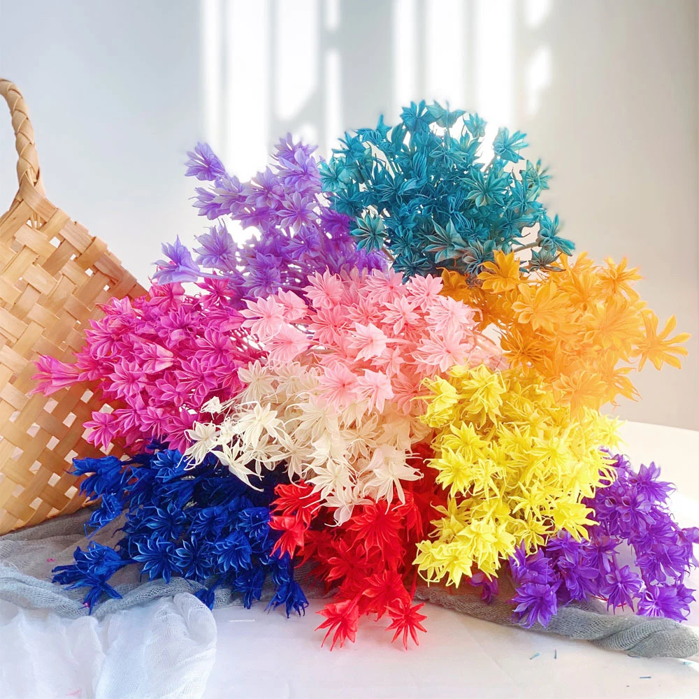

Big Bouquet Dried Natural Flowers Eternells Stars Flowers Brunch For Wedding Party Home Decoration Christmas Festival Decor