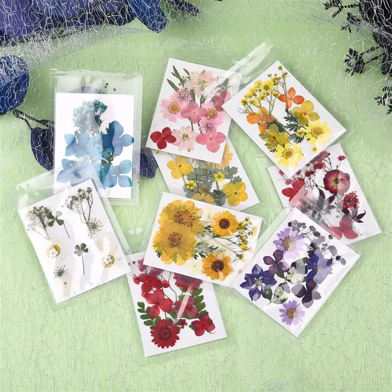 Натуральные сушеные листья цветы зеленые растения сделай сам кристалл