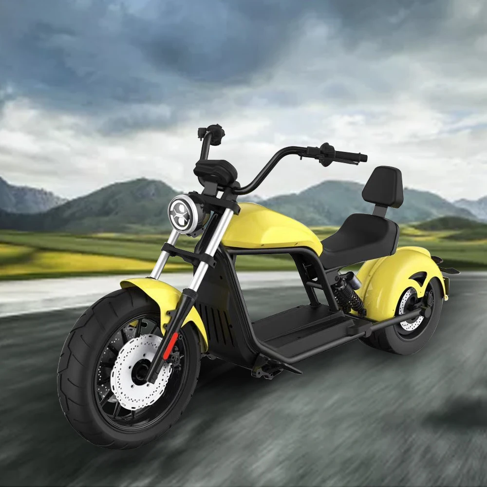 Günstig C1-018 Neue Removbale Batterie Citycoco Offroad Elektro-bike Motorrad Roller Straße Legal EWG/COC