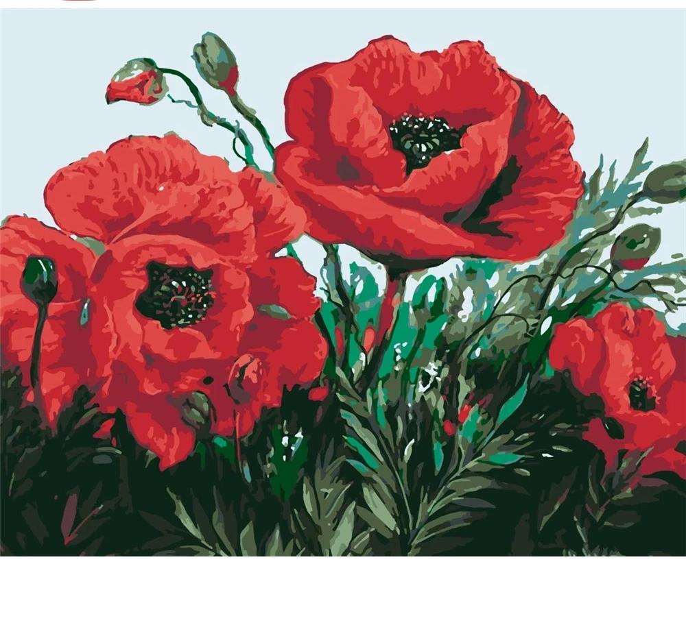 

CraftArtGo картина по номерам Цветок Картина на холсте Ручная роспись подарок картина по номерам водопад комплекты, украшение для дома