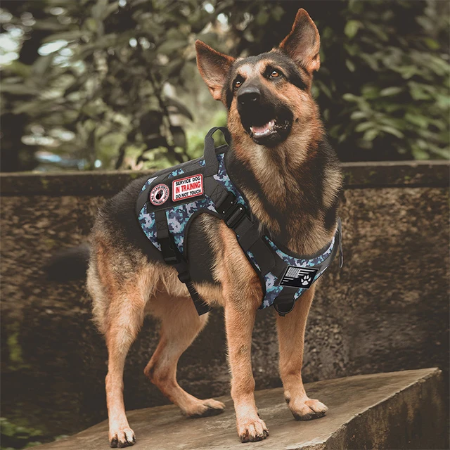 Militar Tactical Dog Harness Luxury No Pull Adjustable Pet Training Harness Vest for Medium large Dogs Service Dog Accessories 2