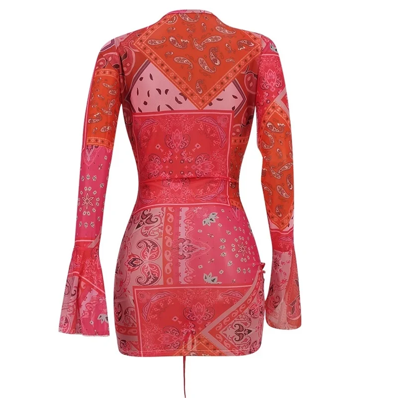 

Woman Sexy See-through Mesh Streetwear Fashion Print Slim Mini Dress 20212 Summer New Deep V Clubwear Party Vestidos