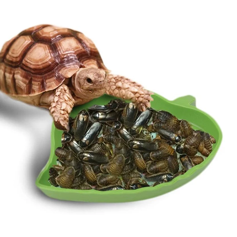 

Amphibians Turtle Reptiles Feeder Reptile Terrarium Feeding Basin Tortoise Lizard Crawler Water Bowl Basin Water Fountain