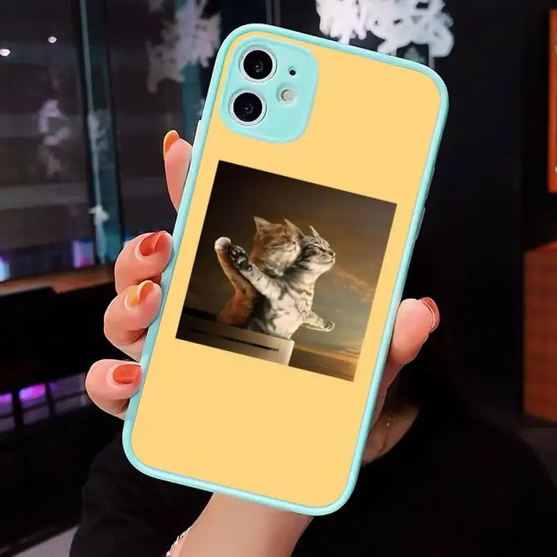 

Aesthetic Cute Animal Cat Phone Cases Matte transparent For blue iPhone 12 Mini 11 Pro XR XS Max 7 8 Plus X Back Cover