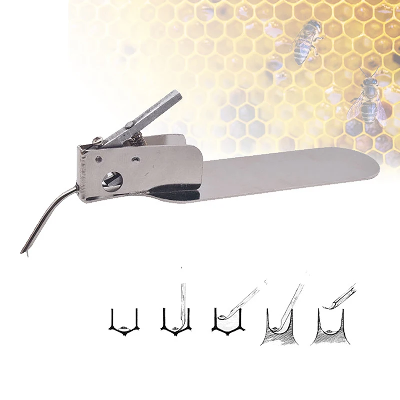 

Stainless Steel Beekeeping Queen Rearing Moving Transferring Needle Master Grafting Tool for Grafting Honey Bee Larvae