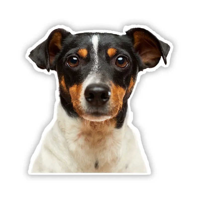 

B0696# Self-adhesive Decal Dog Puppy Car Sticker Waterproof Auto Decors on Bumper Rear Window Motorcycle Laptop Helmet