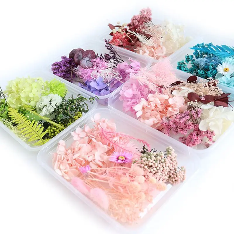 

1 Box Real Mix Dried Flowers for Aromatherapy Candle Resin Jewellery Dry Plants Pressed Flower Making Craft DIY Accessor