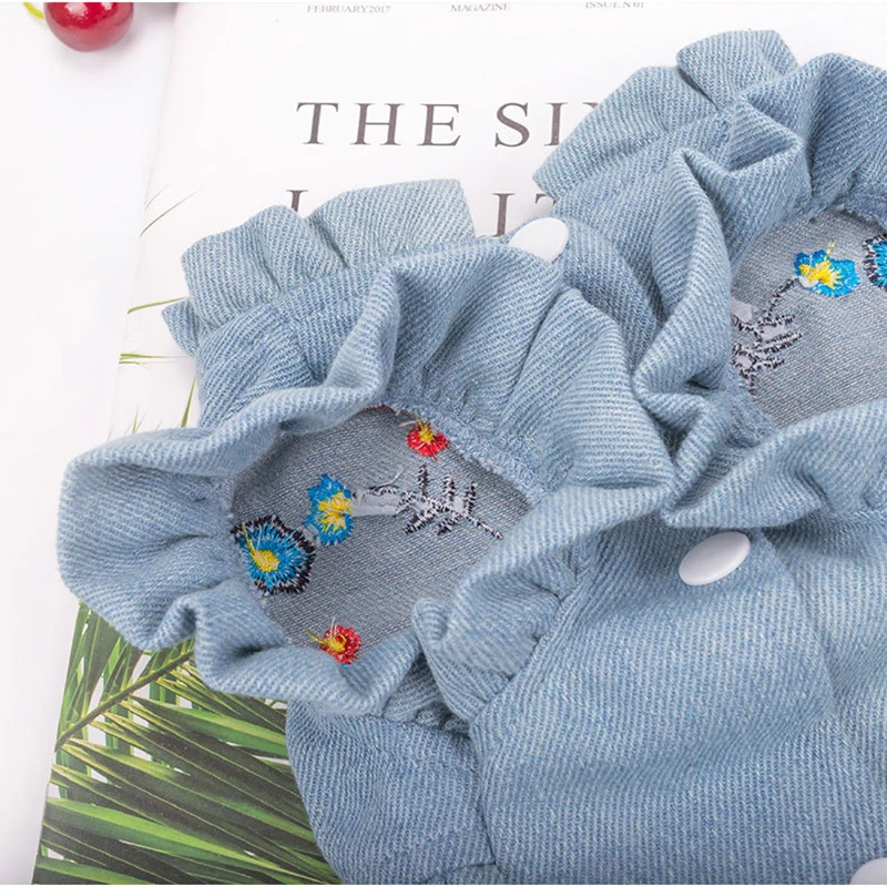 

2021 new Dog clothes for small dogs pet Clothing cats dress Puppy summer york fancy breeds Embroidered pleated princess dresses