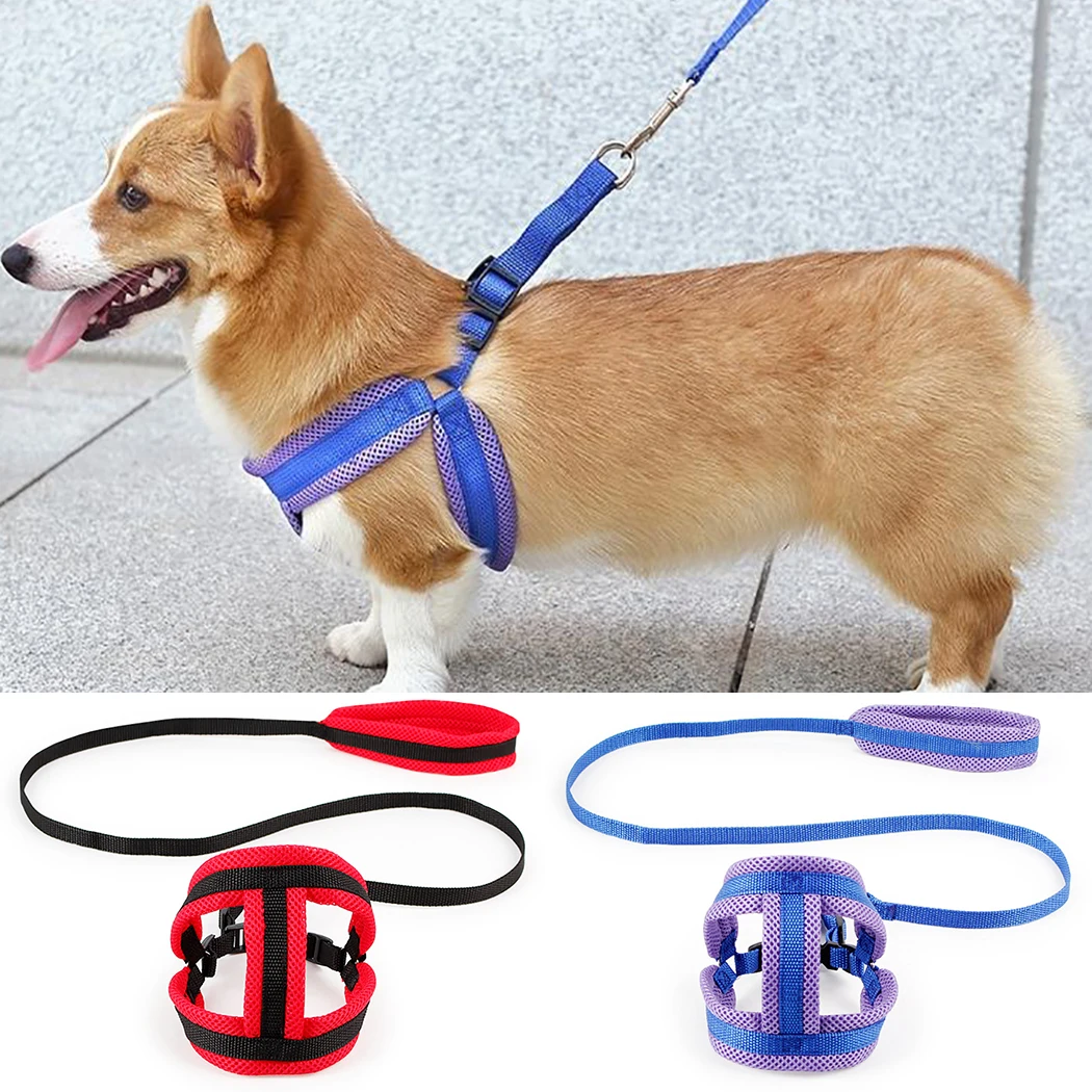 

Pet Harness Leash Portable Mesh Nylon Chest Strap Golden Retriever Teddy Dog Leashing Rope Dog Walking Leash Pet Supplies