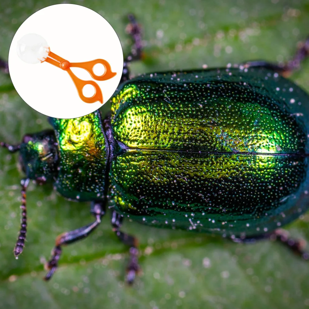 

2pcs Insrcts Scoopers Insect Catcher Scissor Tong Clamp Scientific Equipment