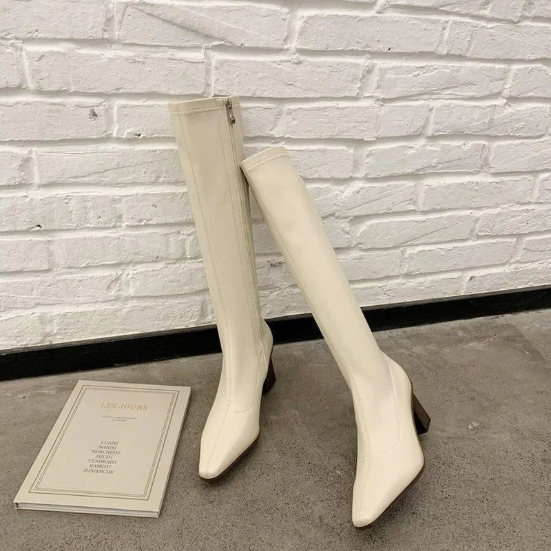 

Женские сапоги до колена на высоком каблуке, с молнией