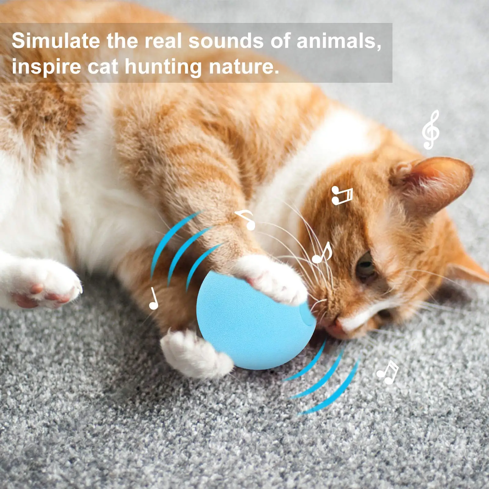 

3 PCS Cat Toys Balls Interactive Animal Chirping Sounds Toy Balls with Refillable Catnip for Cat Exercise