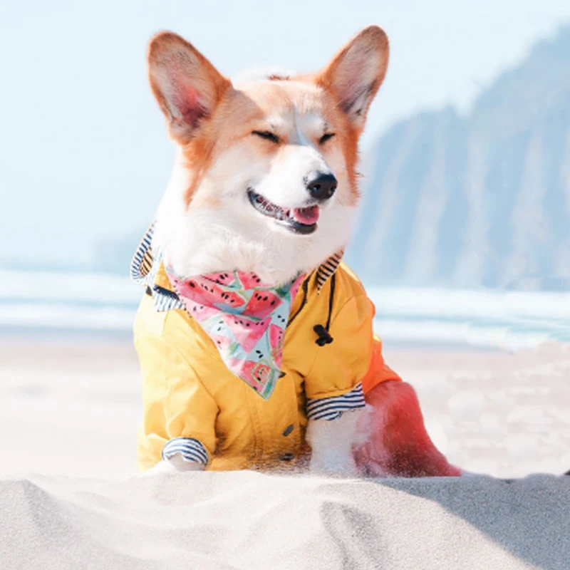 Waterproof Yellow Dog Raincoat For French Bulldog Retro Puppy Clothes Pet Outfit Clothing Jacket Ropa Perro