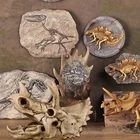 Модель животного трицератопса из костей, имитация дракона Юрского периода, ископаемый скелет динозавра, обучающая модель животного, подарок для детей, игрушки