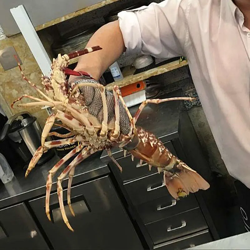 NMSafety длинные перчатки для мяса из нержавеющей стали высокого качества|Защитные