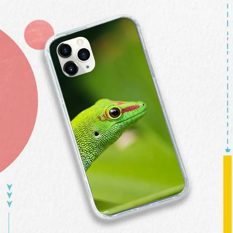 

Gecko Lizard Animals Phone Case for iPhone 11 12 mini pro XS MAX 8 7 6 6S Plus X 5S SE 2020 XR luxury cover shell