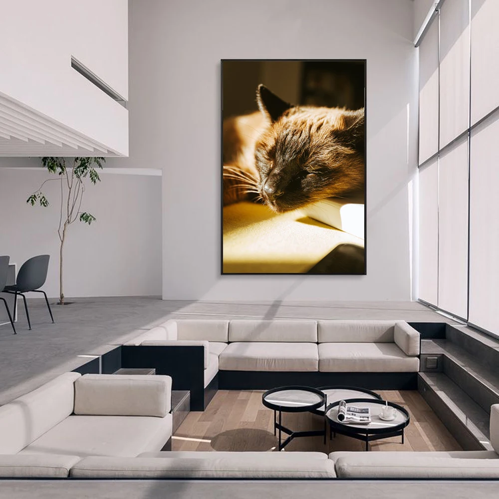 

Animal landscape oil painting lovely white cat art canvas painting living room corridor bar home decoration mural