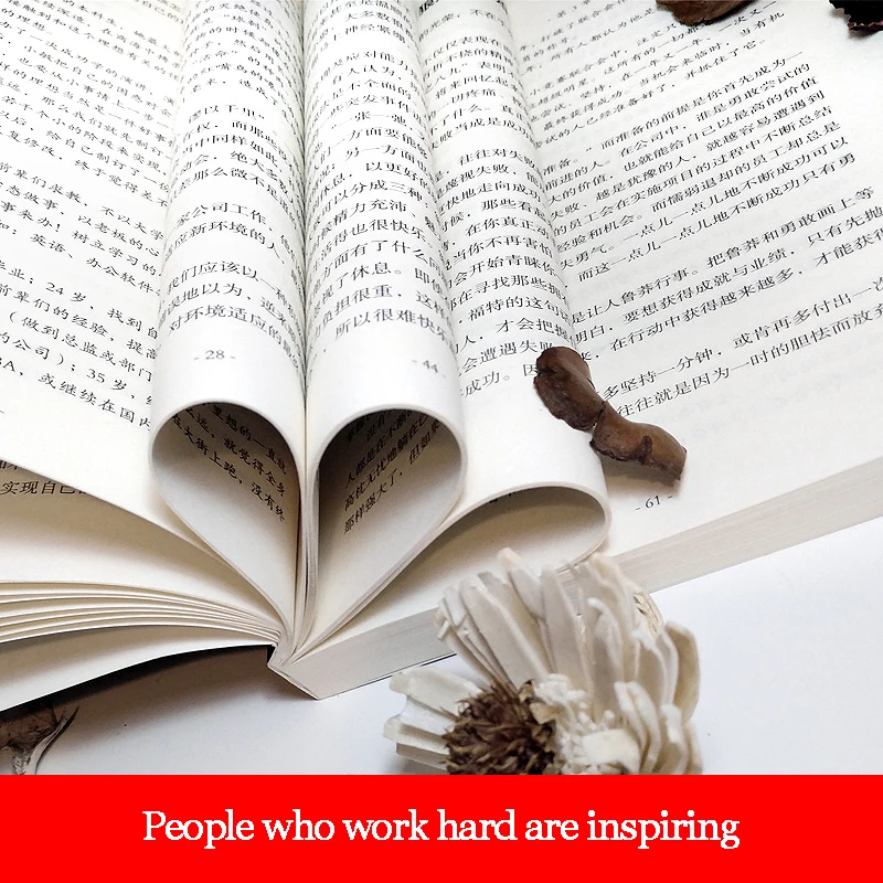 Soul Chicken Soup Five books you must read in life Literary novel inspirational bestseller