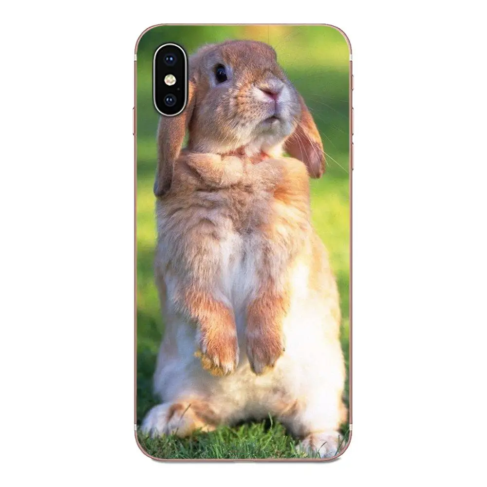 Симпатичные Mr коала Пасха Банн Кролик для huawei Honor 4C 5A 5C 5X6 6A 6X7 7A 7C 7X8 8C 8S 9 10 10i 20 20i Lite