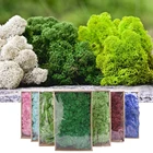 Высококачественное зеленое растение 20 г, иммортная искусственная Цветочная трава для дома, декоративная стена сделай сам