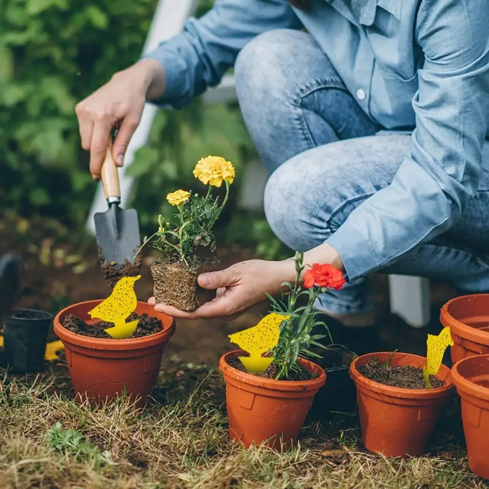 12 шт грибковых насекомых двусторонний Ловец растение для тли сильный клей