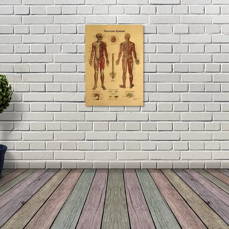 

Human Anatomy Knee Joint Foot Posters Spinal Column Chart Prints Canvas Painting Wall Art for Room Home Decoration 42x30cm