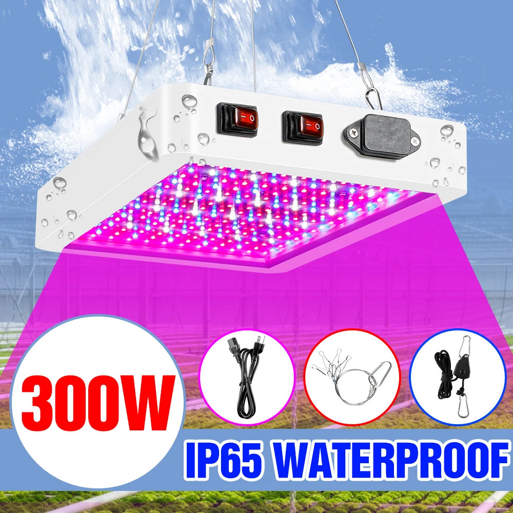 

LED Hydroponics Plant Light 300W 500W Grow Tent 220V Indoor Phyto Lights LED Full Spectrum Seedling Fito Lampada US EU UK Plug