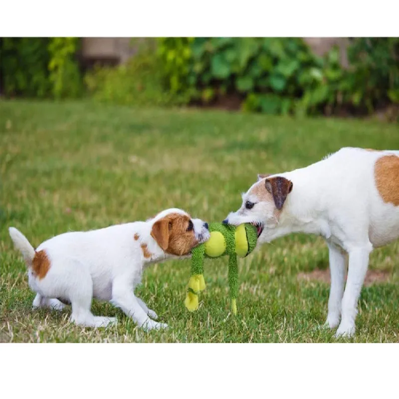 Плюшевая пищащая игрушка H & JOY для собак устойчивая к укусам лягушка жевательная