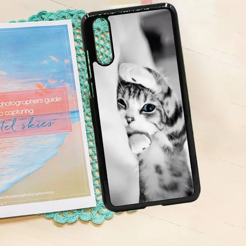 

Cute Animal Cat Animal aesthetics Phone Case PC for iPhone 11 12 pro XS MAX 8 7 6 6S Plus X 5S SE 2020 XR