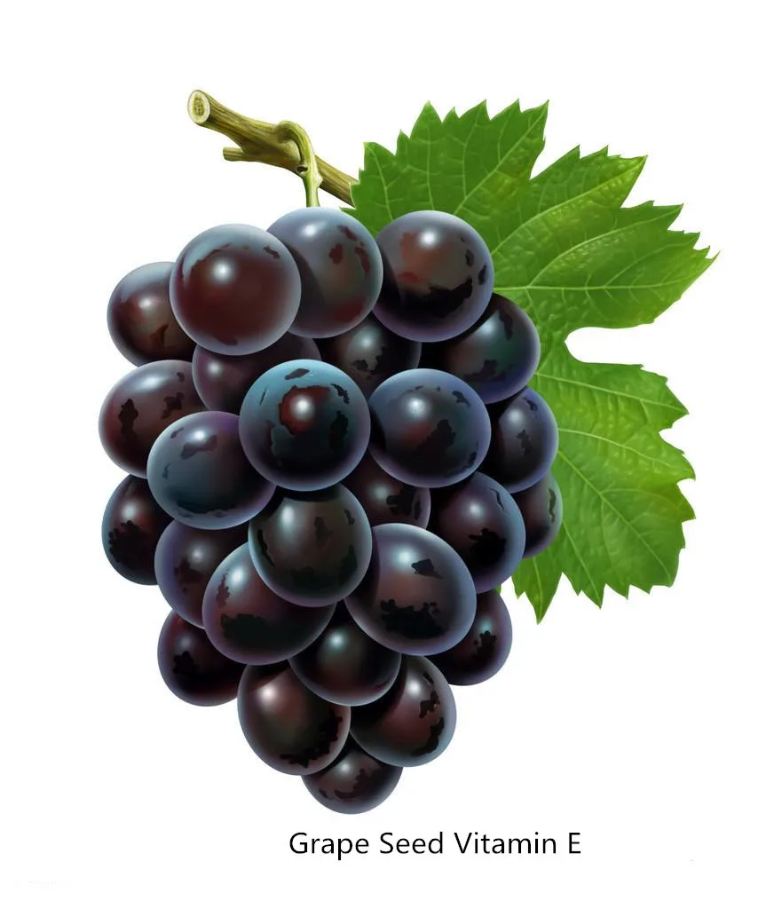

60/120pcs Grape seed vitamin E, containing antioxidant Alpha Tocopherol ,Improved Circulation, anti-radiation,Keep skin elastic
