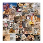 48 шт. кота и собаки, в стиле кавайи; Мем Стикеры s Наклейка для голубой рисунок с героями из мультфильмов, с животными Стикеры 