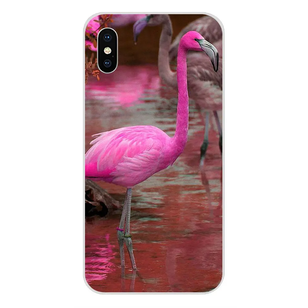 Защитный чехол для Huawei Nova 2 V20 Y3II Y5 Y5II Y6 Y6II Y7 Y9 G8 G9 GR3 GR5 GX8 Prime 2018 2019 Розовый фламинго |